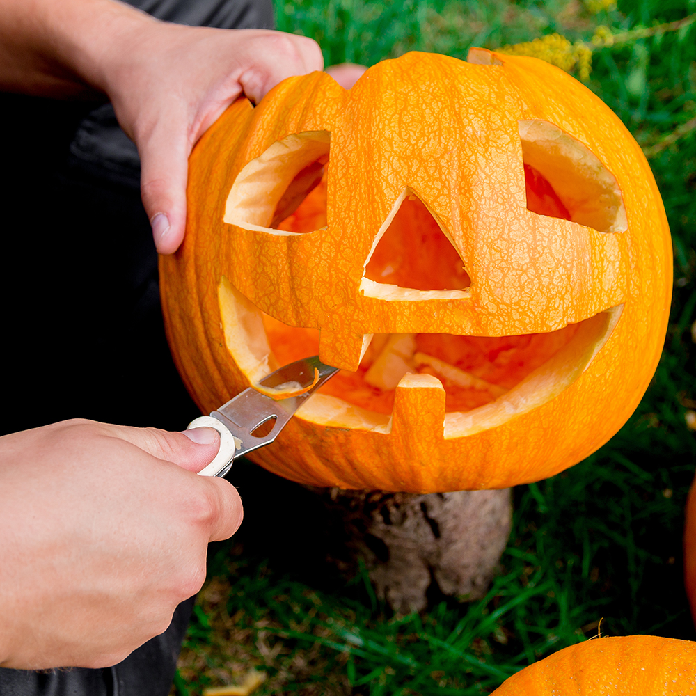 AdobeStock_119666452-1000x