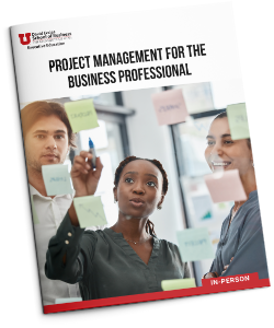 Project Management for the Business Professional Guide