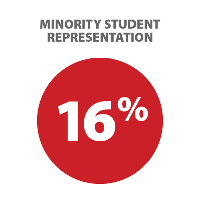 Minoritiy